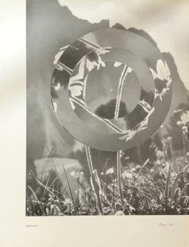 Simon Barker